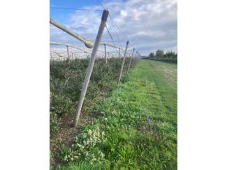 overkappingen en toebehoren Overkapping voor fruitteelt