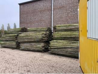 boompalen 2.50m. lang en 4cm dik