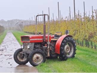 Massey Ferguson 135