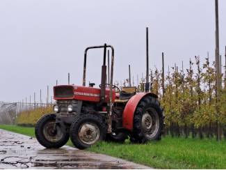 smalspoortractoren Massey Ferguson 135