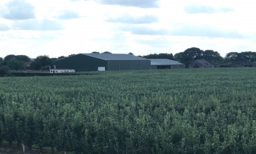 Voorjaarsvorst veroorzaakt bestuivingsproblemen in Poolse appelboomgaarden