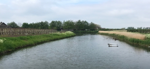 Ctgb overweegt strenger beleid bij structurele overschrijding waternorm