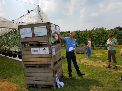 Cameraval onthult natuurlijke vijanden van schildwants in fruitboomgaard