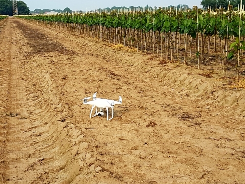 Versnelling van innovaties in de fruitteelt door koppeling van technologienetwerken