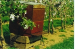 Bijenhouders noemen bijensterfte zorgwekkend hoog