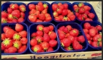 GroentenFruit Huis heeft kritiek op aardbeienonderzoek van PAN Nederland