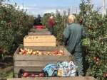 "Ver van huis en haard met de hele familie appelen en peren plukken"