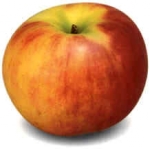 Markttoegang China voor Nederlandse appels